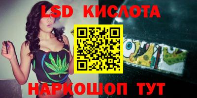 прущие грибы Можга