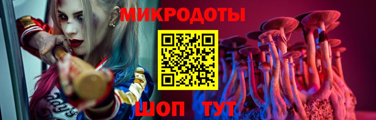 Псилоцибиновые грибы мицелий Узловая